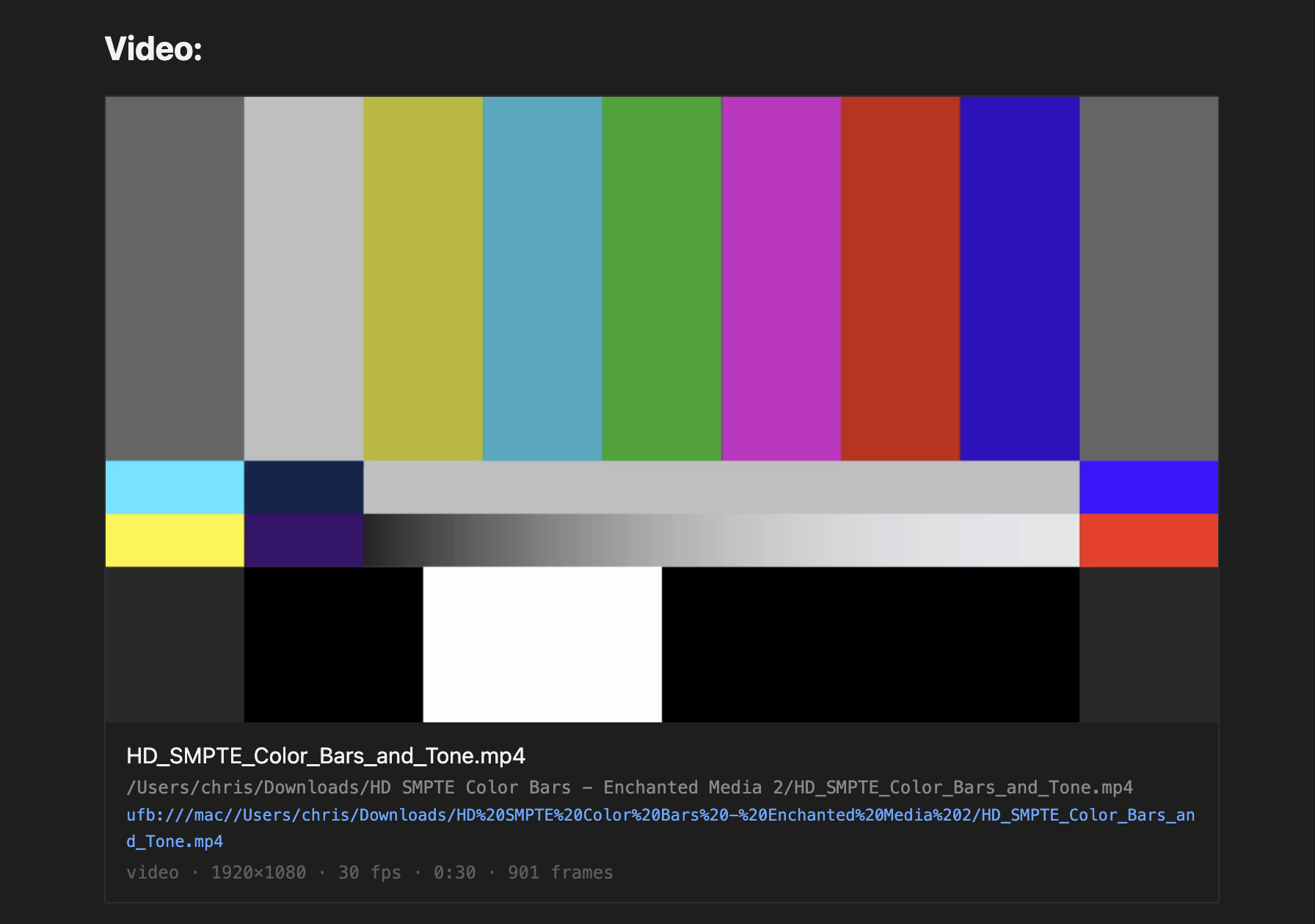 A video reference card in an HTML export